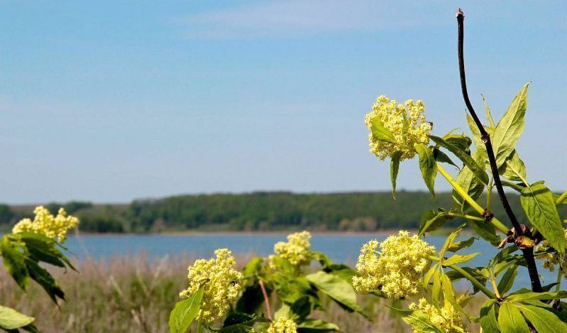 земля р-н Лаишевский с Курманаково Куюковское сельское поселение, Лаишево фото 5