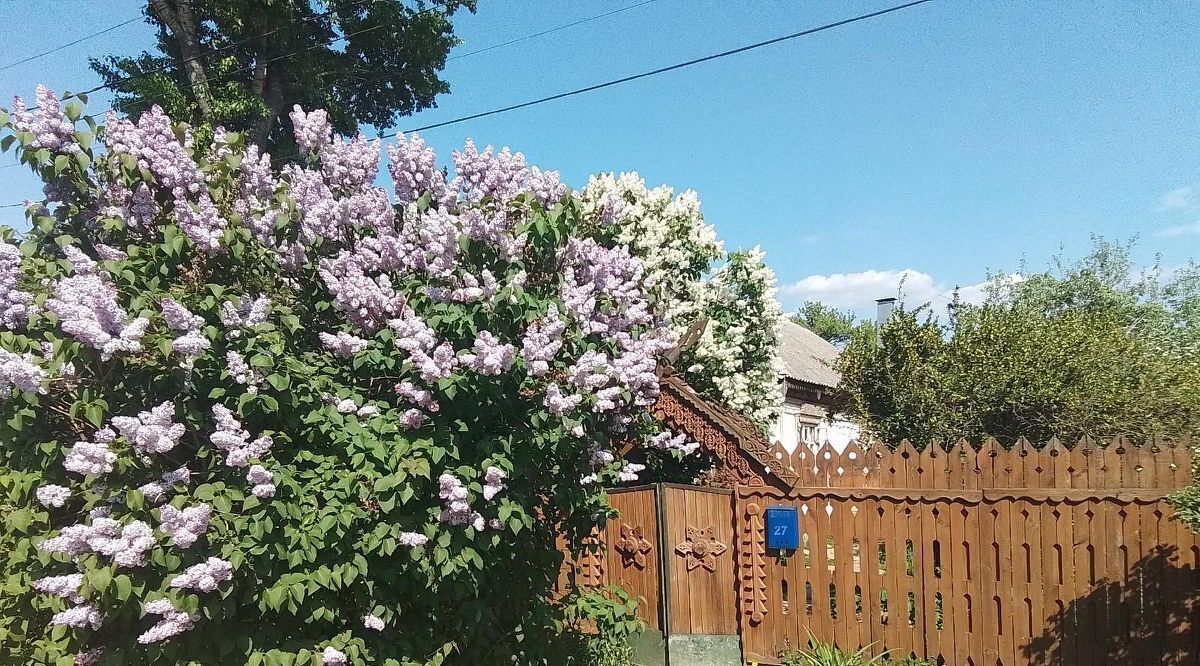 земля городской округ Ленинский д Ащерино Домодедовская, 27 фото 8