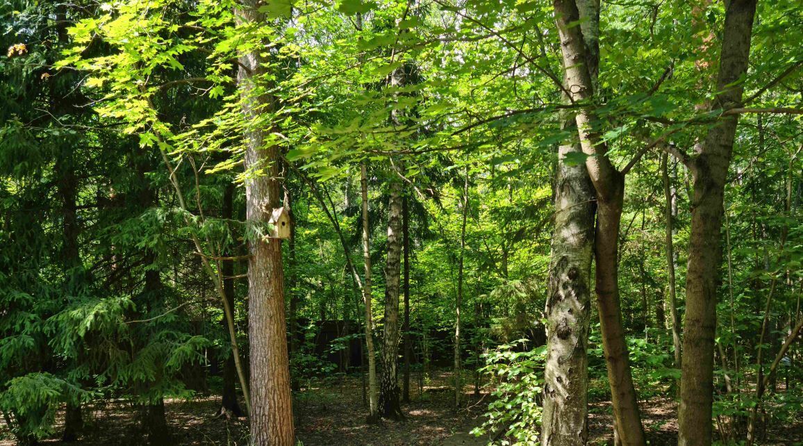 земля городской округ Одинцовский д Новодарьино Одинцово фото 5