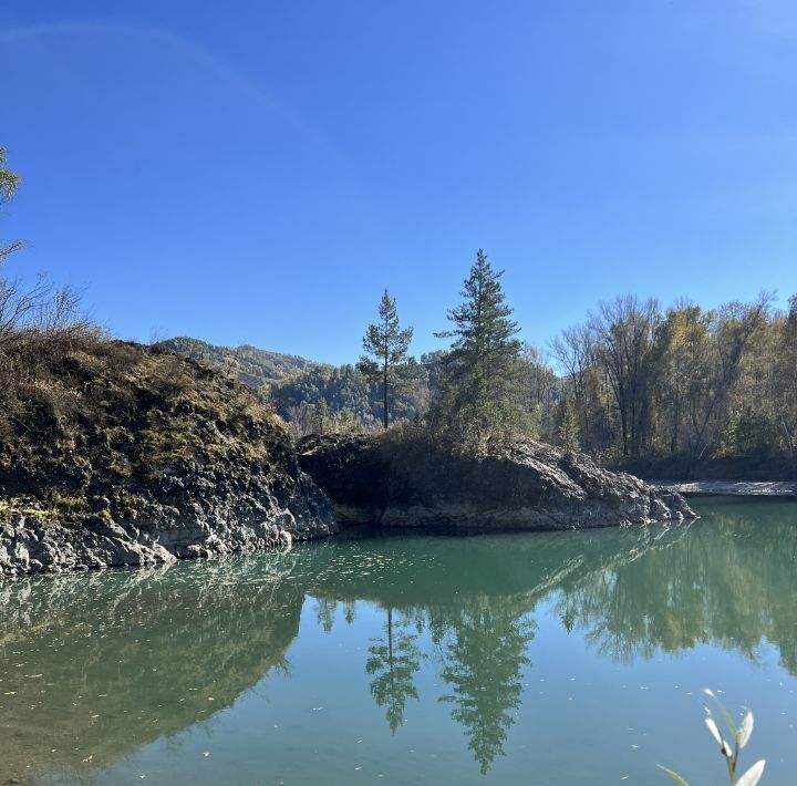 земля р-н Алтайский Бирюзовая Катунь тер., тракт Айский фото 2