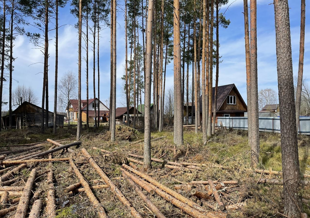 земля р-н Лодейнопольский г Лодейное Поле Трасса Лодейное поле — Вытегра, Свирьстройское городское поселение, городской пос. Свирьстрой, Центральная ул фото 4