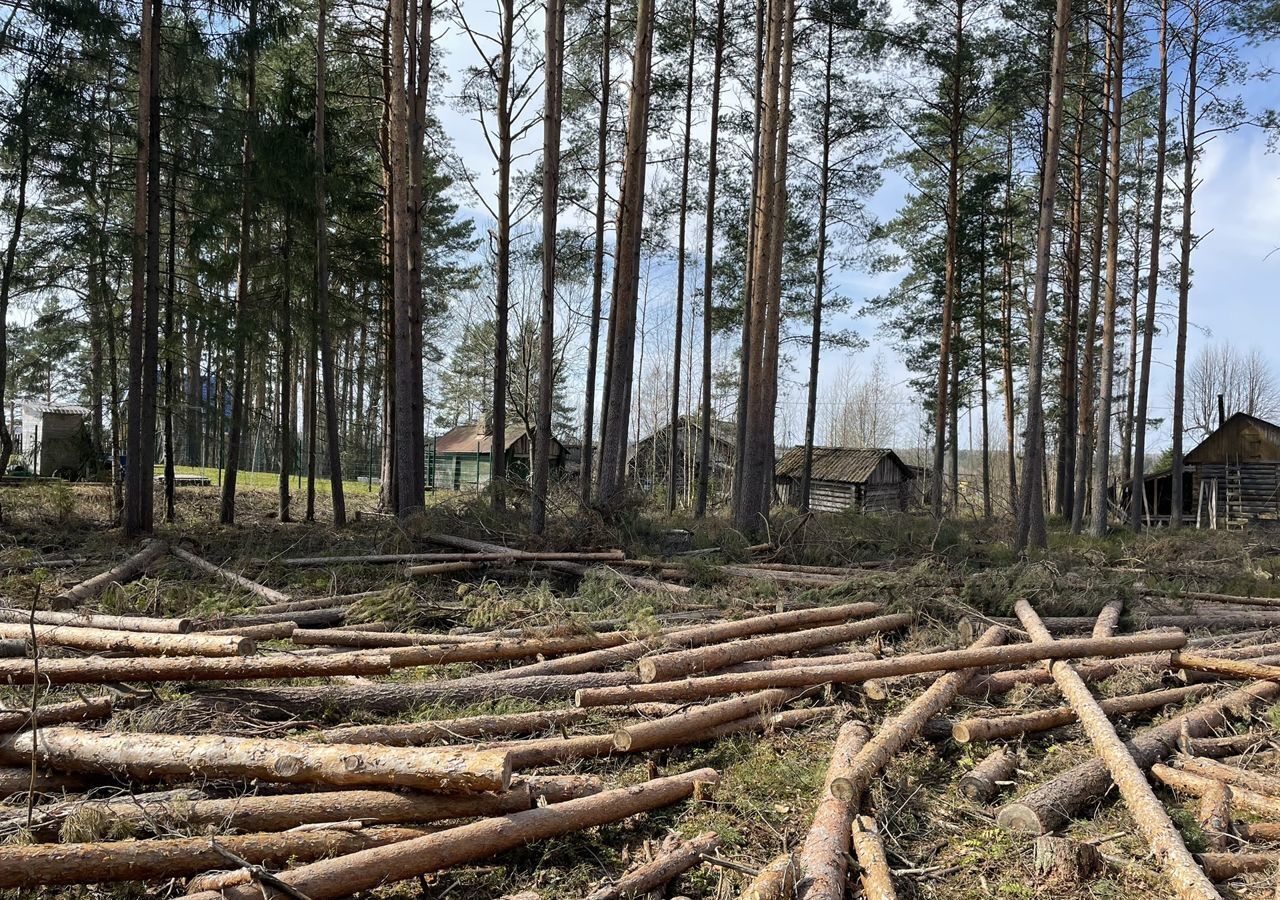 земля р-н Лодейнопольский г Лодейное Поле Трасса Лодейное поле — Вытегра, Свирьстройское городское поселение, городской пос. Свирьстрой, Центральная ул фото 5