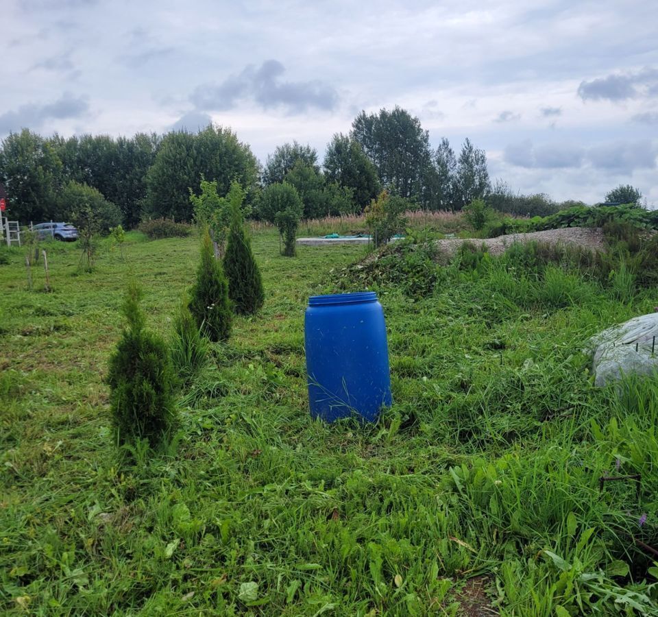 земля р-н Чудовский д Буреги ул Солнечная Трегубовское сельское поселение, Чудово фото 8