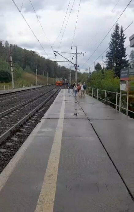 земля г Новосибирск метро Площадь Гарина-Михайловского Раздольненский сельсовет фото 9