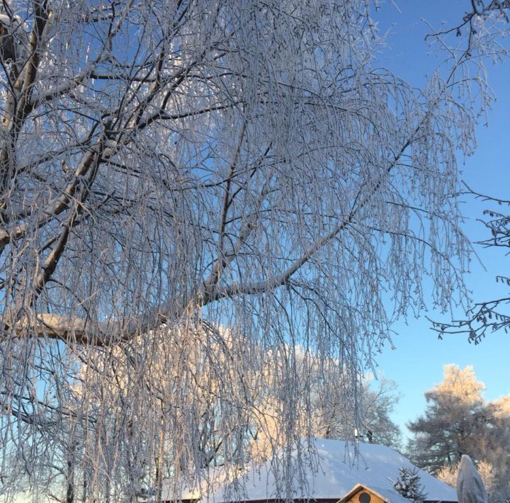 дом городской округ Дмитровский д Морозово фото 27