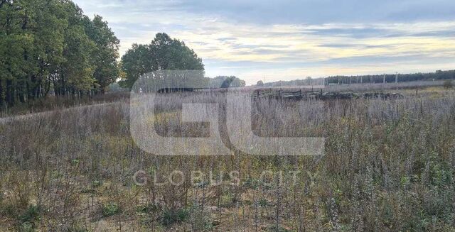 земля д Дубровка ул Мира Новодарковичское сельское поселение, Брянск фото