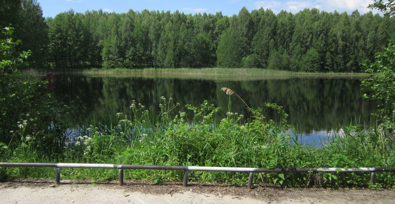 земля р-н Городецкий д Петухово (Федуринский с/с) Чкаловск фото 6