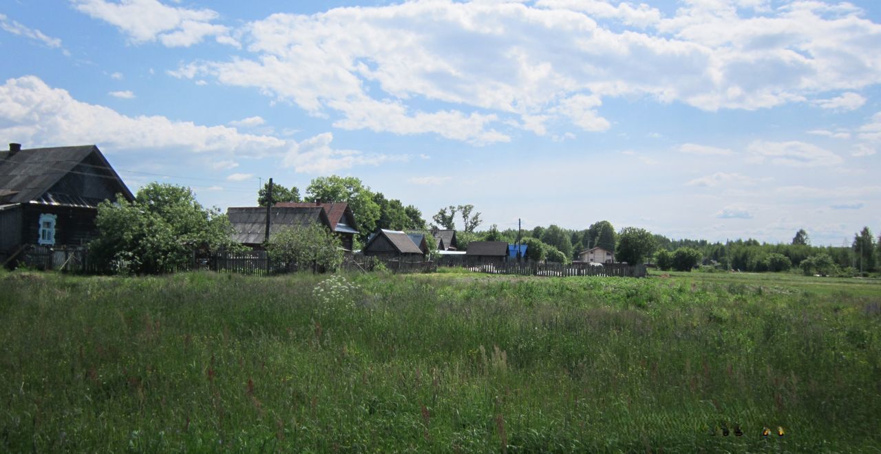 земля р-н Городецкий д Петухово (Федуринский с/с) Чкаловск фото 11