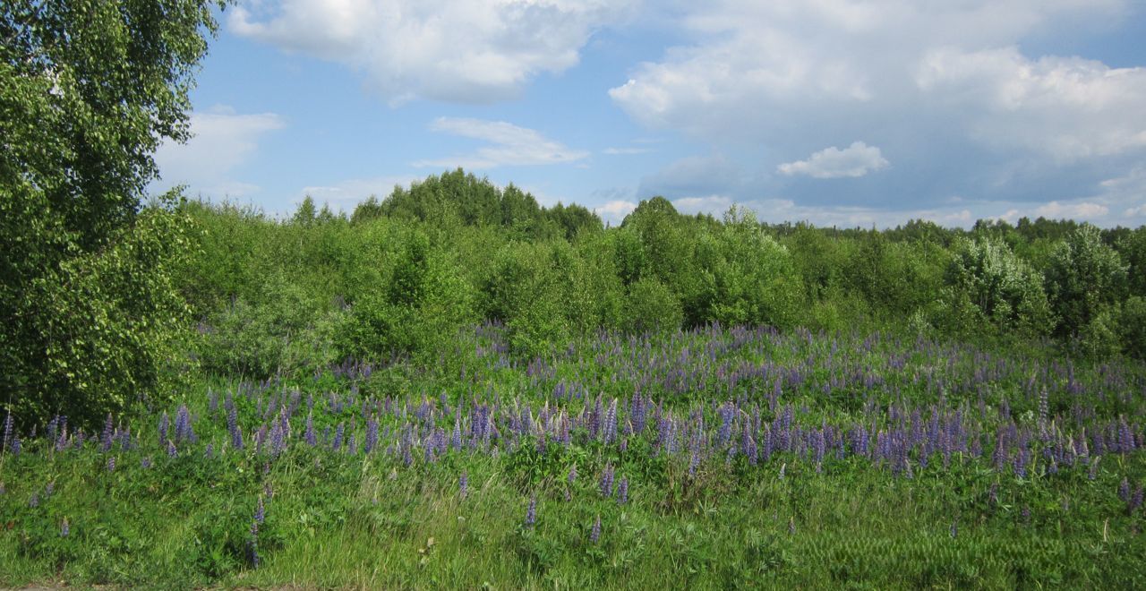 земля р-н Городецкий д Петухово (Федуринский с/с) Чкаловск фото 12