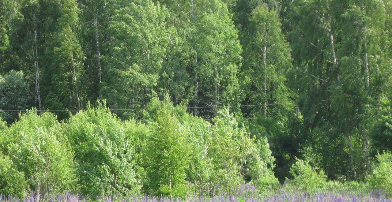 земля р-н Городецкий д Петухово (Федуринский с/с) Чкаловск фото 15