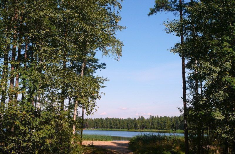 земля городской округ Клин рп Решетниково 9807 км, г. о. Клин, Ленинградское шоссе фото 11