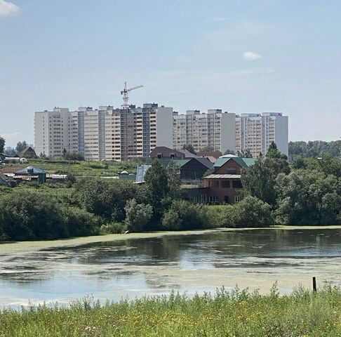 земля р-н Новосибирский с Каменка ул Калинина Каменский сельсовет фото