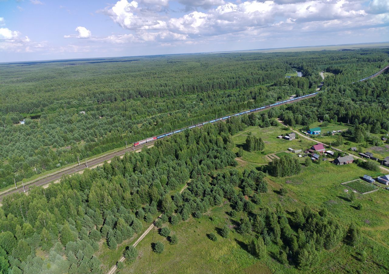 земля р-н Бабаевский д Сиуч Бабаево фото 8