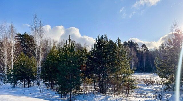 с Салаирка фото