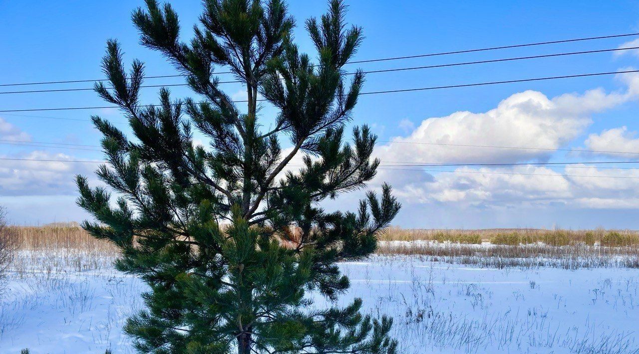 земля р-н Тюменский с Салаирка фото 8