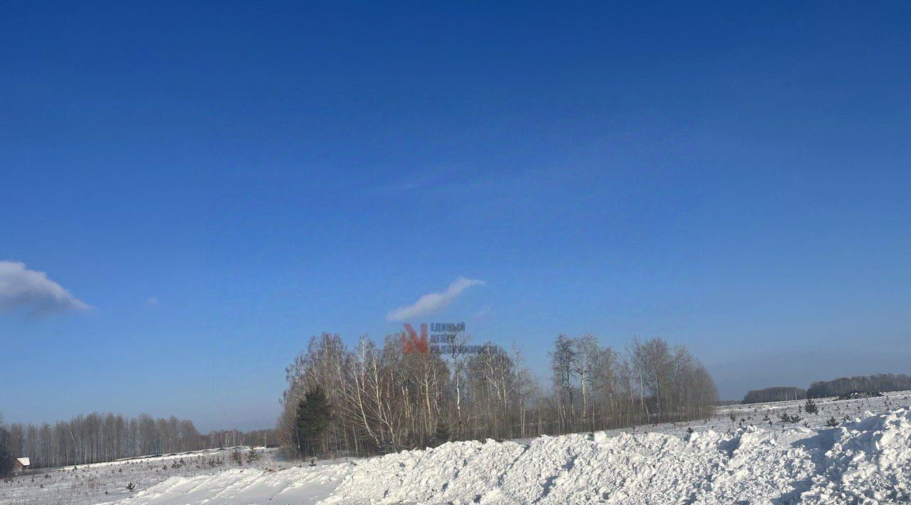 земля р-н Тюменский Новокаменский кп, ул. Гоголя фото 6