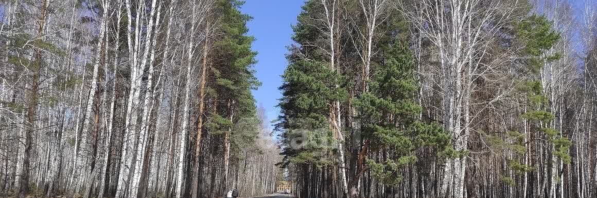 земля г Тюмень р-н Восточный снт Лесная Поляна ул Кленовая фото 14