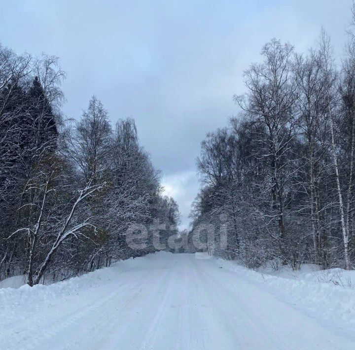 земля городской округ Дмитровский ТЭС СНТ, 29 фото 12