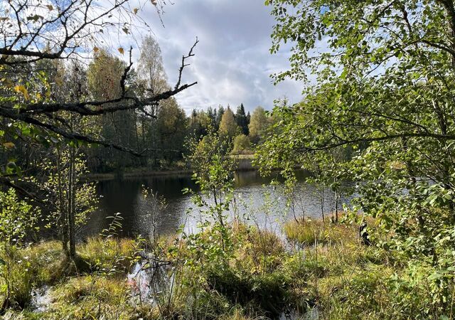 земля п Саперное Трасса Сортавала, 9809 км, Ромашкинское сельское поселение фото