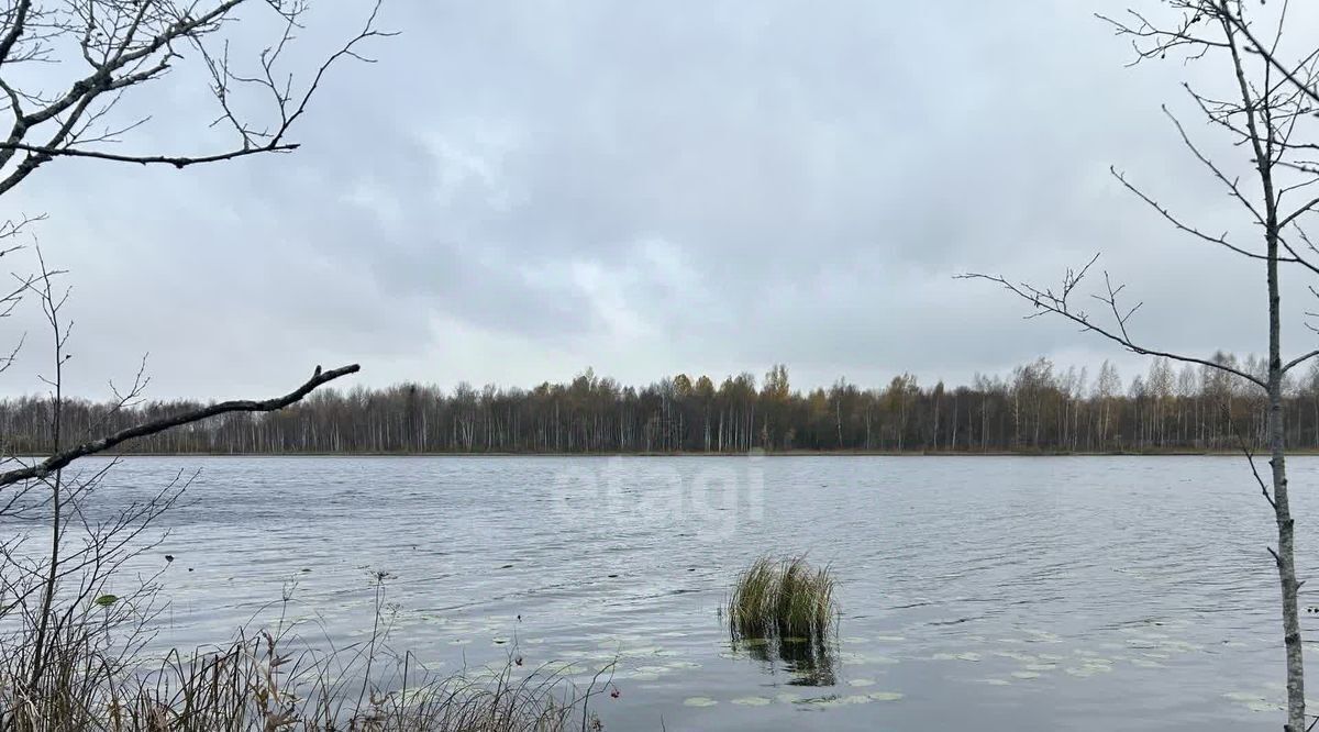 земля р-н Белозерский д Садовая Белозерский муниципальный округ фото 1