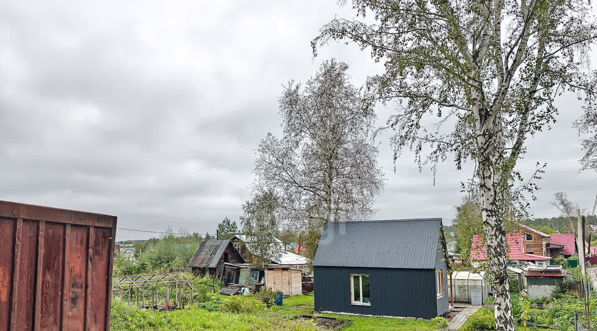 дом р-н Новосибирский снт Калинка Каменский сельсовет, аллея 34-я, 551 фото 14