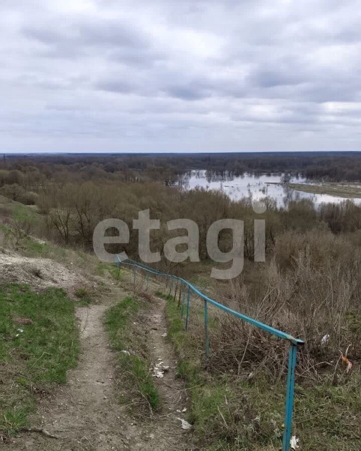 дом р-н Брянский с Супонево ул Д.Бедного 21 Супоневское сельское поселение фото 35