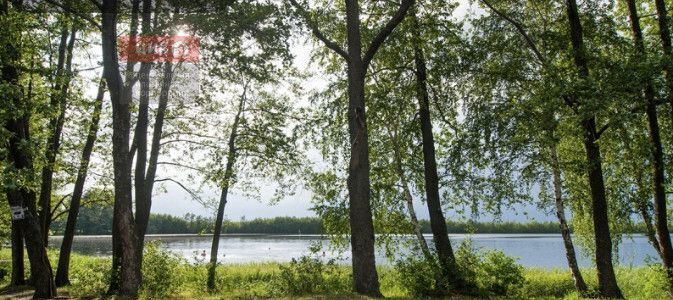 дом р-н Рязанский с Борисково Заборьевское сельское поселение, Мурмино фото 13