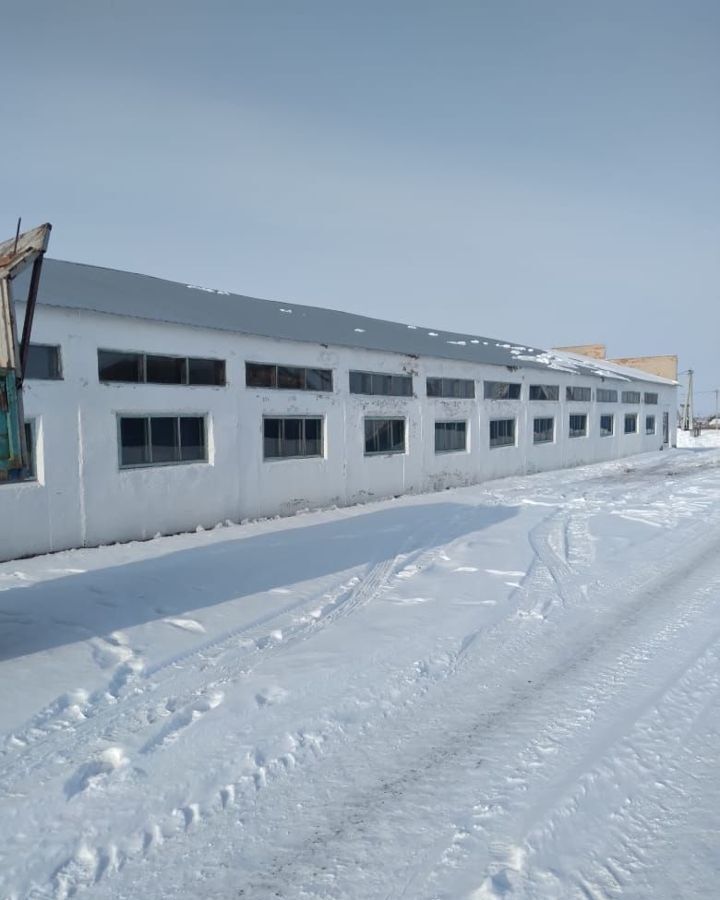 гараж р-н Шербакульский рп Шербакуль Шербакульское городское поселение фото 2