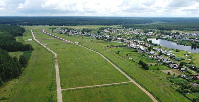 с Аверино ул. Первый Коммунар, 24, Щелкун фото