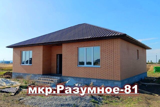 дом городское поселение посёлок Разумное, мкр-н Разумное-81 фото