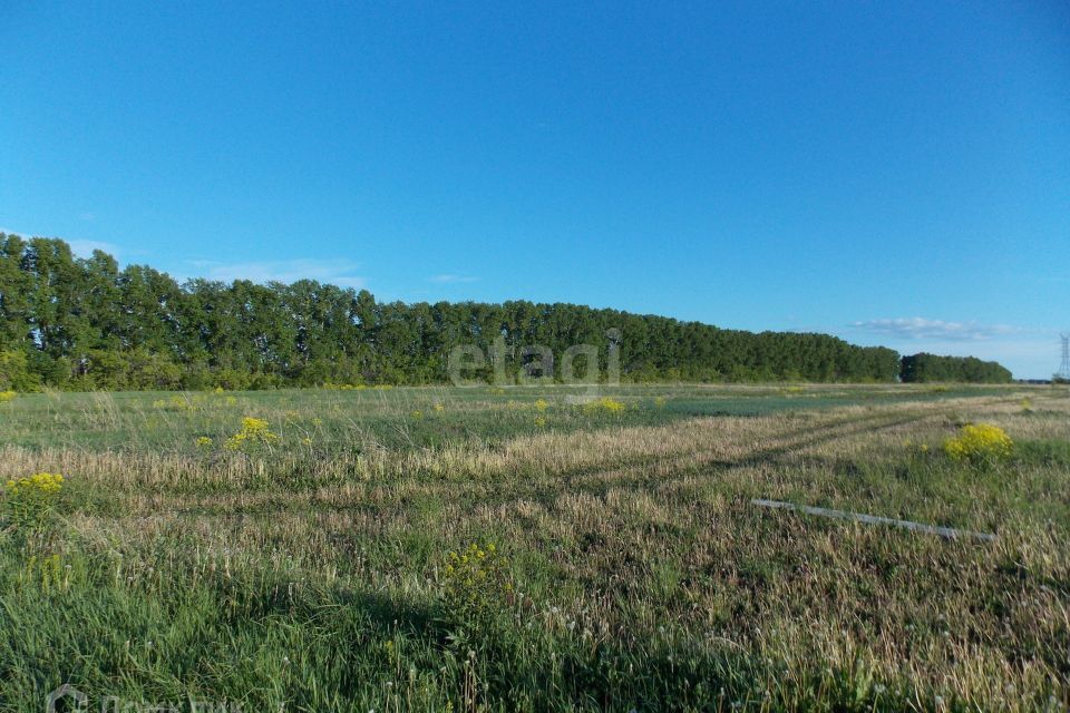 земля р-н Кемеровский СНТ Уютное, Пихтовая улица, 10 фото 2