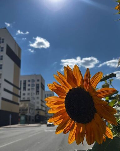 дом 12 жилой район Гармония фото