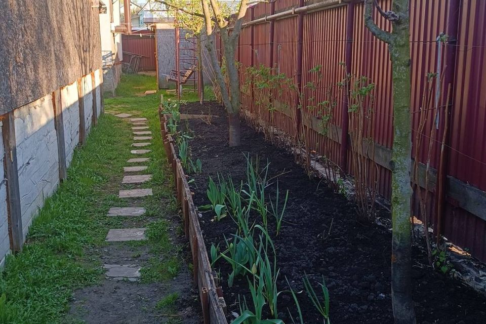 дом городской округ Раменский село Верхнее Мячково фото 4