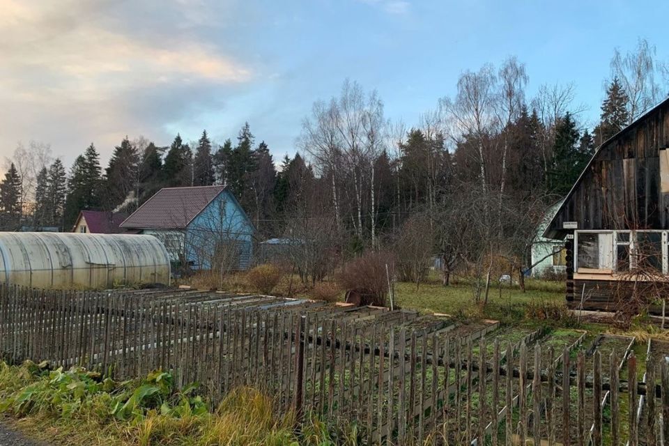 земля городской округ Солнечногорск 82, садовое товарищество Солнечная Поляна фото 4