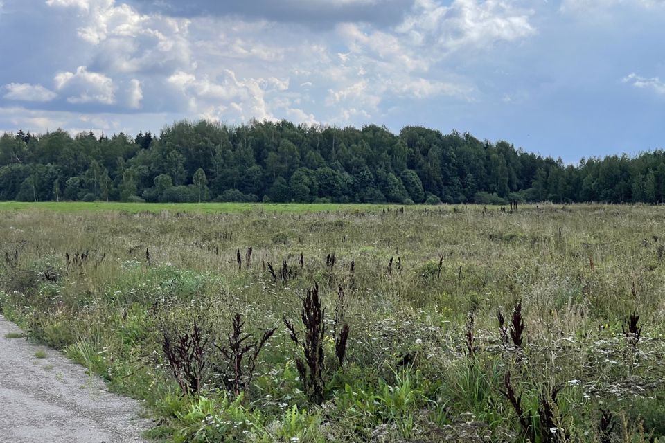 земля городской округ Одинцовский коттеджный посёлок Западная Усадьба фото 1