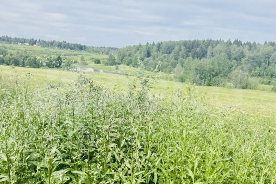 земля городской округ Сергиево-Посадский деревня Ильинки фото 9