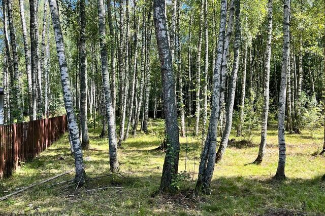 земля д Новорождествено Квартал Львиное Сердце, коттеджный посёлок Эмеральд Вилладж фото