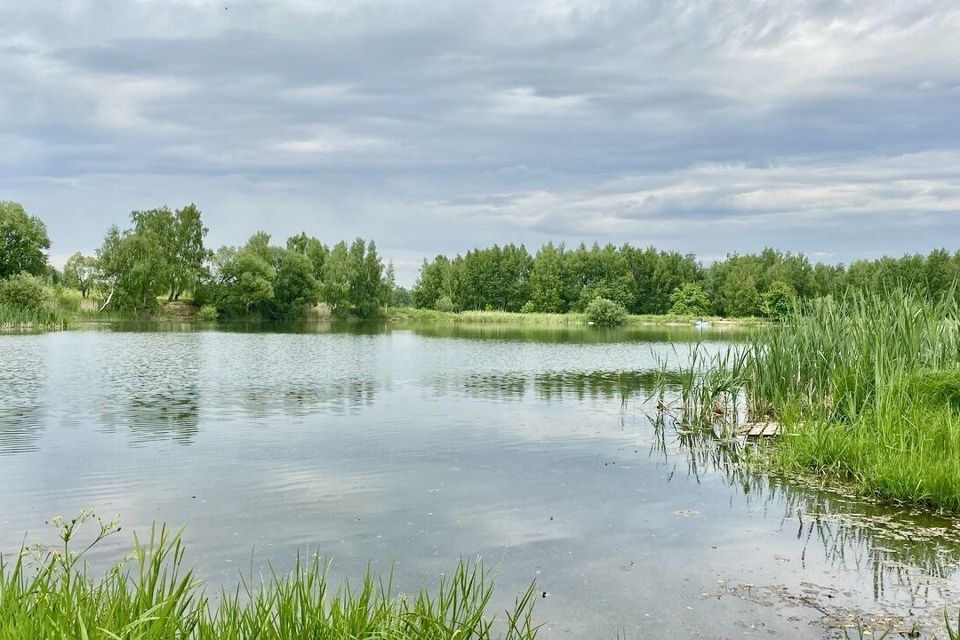 земля городской округ Раменский СНТ Агрохимик фото 1