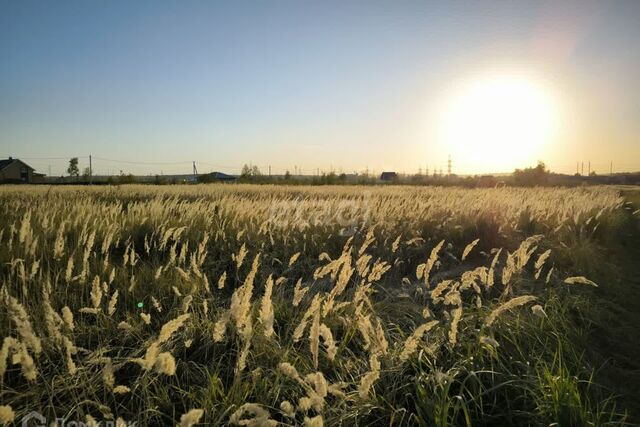 городской округ Коломна, деревня Губастово фото