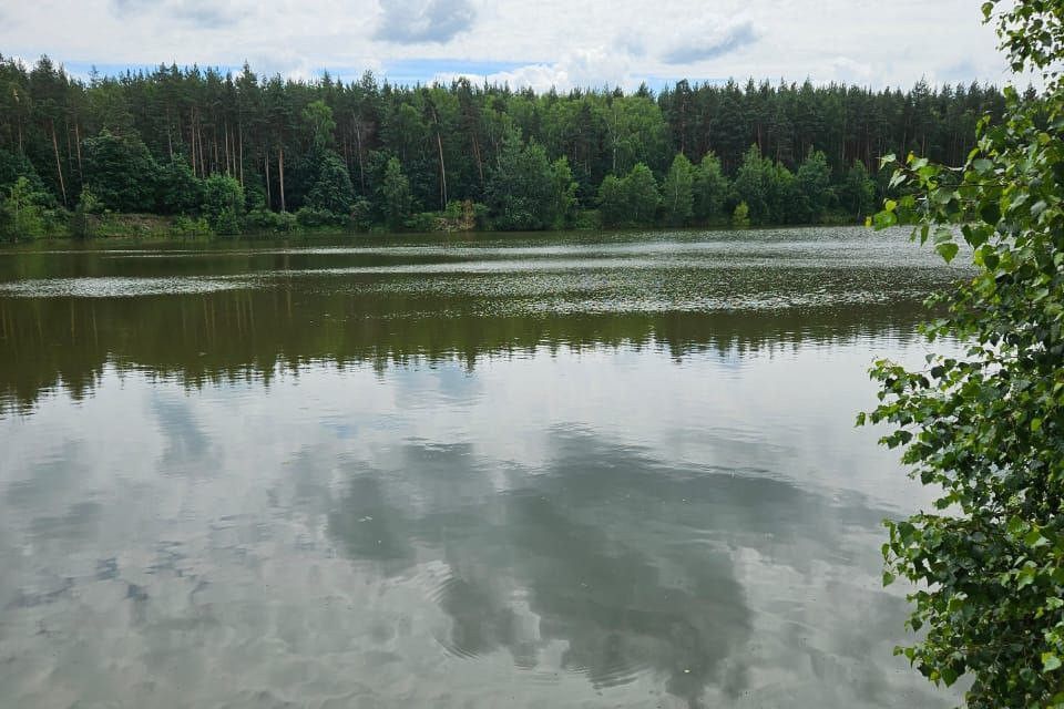 земля г Москва Опушка-2, Московская область, Раменский городской округ, Зелёная фото 1