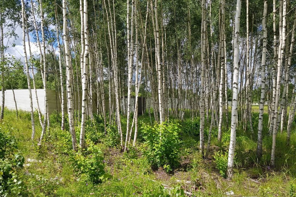 земля городской округ Дмитровский деревня Капорки фото 3