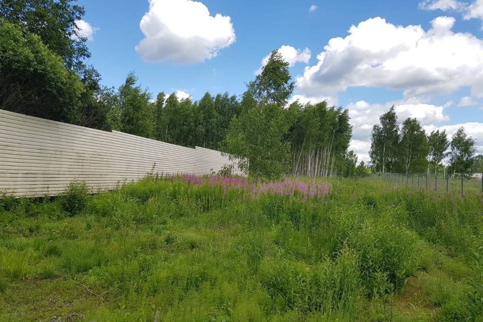 земля городской округ Дмитровский деревня Капорки фото 4