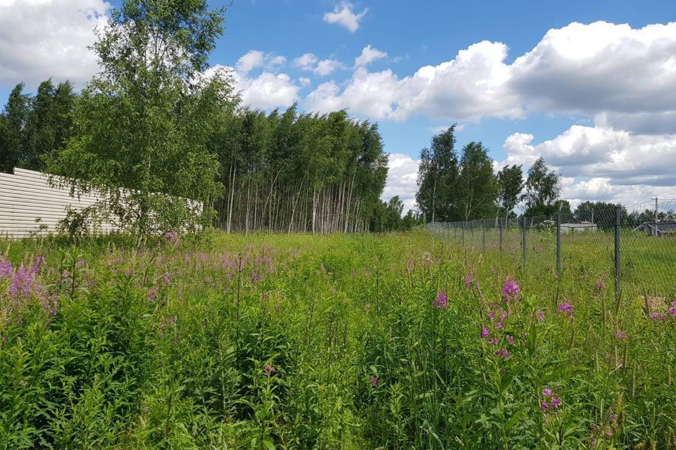 земля городской округ Дмитровский территория Новое Афанасово фото 4