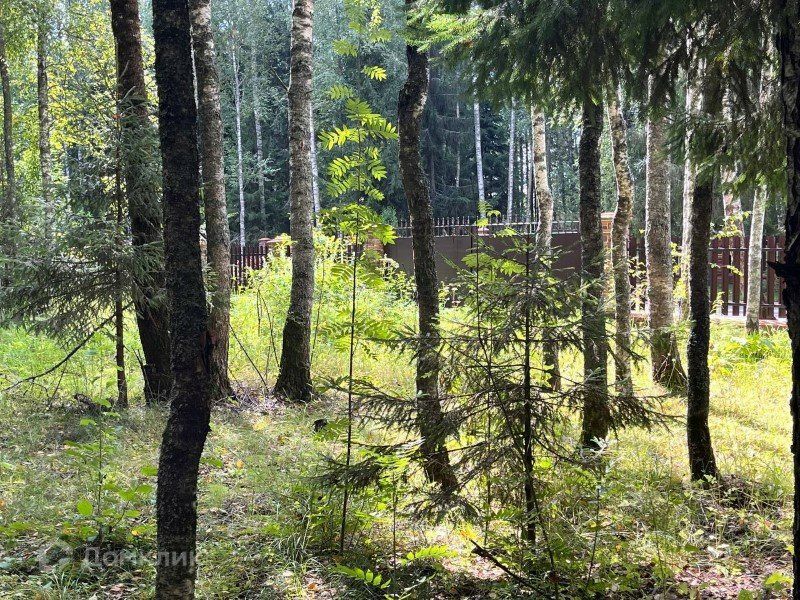 земля городской округ Рузский д Новорождествено Квартал Львиное Сердце, коттеджный посёлок Эмеральд Вилладж фото 2