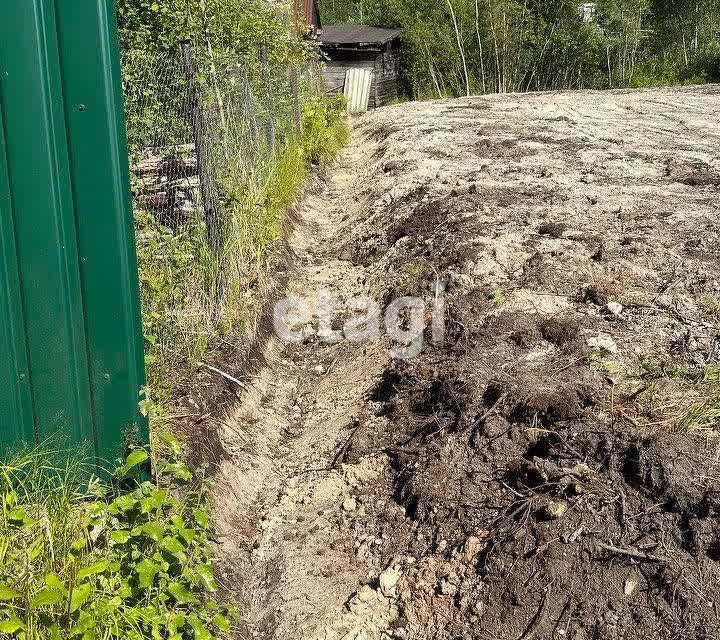 земля р-н Всеволожский садоводческое некоммерческое товарищество Двигатель-3 фото 3