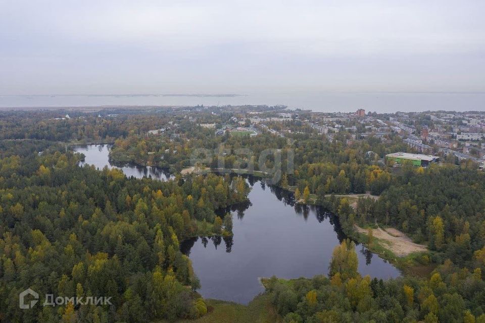 земля р-н Ломоносовский деревня Сойкино фото 3