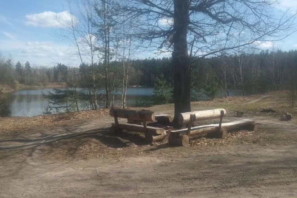 земля г Москва Опушка-2, Московская область, Раменский городской округ, Зелёная фото 4