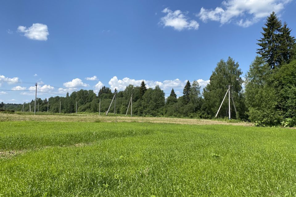 земля городской округ Дмитровский фото 5