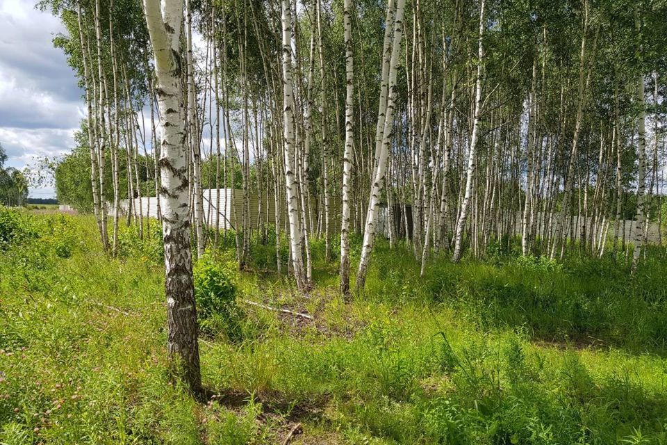 земля городской округ Дмитровский фото 6