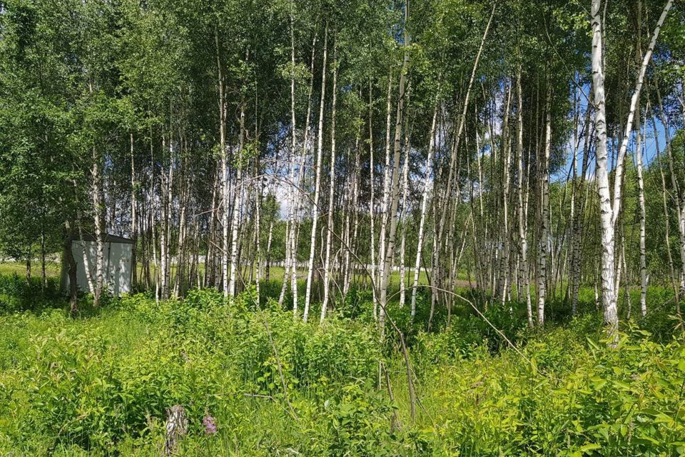 земля городской округ Дмитровский деревня Афанасово-3 фото 10